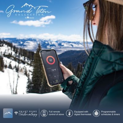 Image showing  2500 sq. ft. Elk Ridge Pellet Stove, 66 lb. Hopper Size, F500466