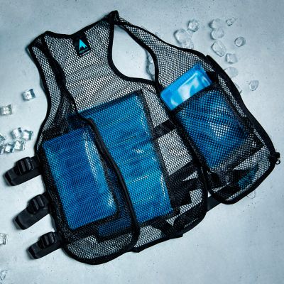 Image showing  Frosty Mesh Ice Vest with Replacement Ice Packs