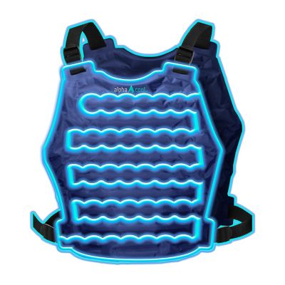 Image showing  Polar Cooling Ice Vest
