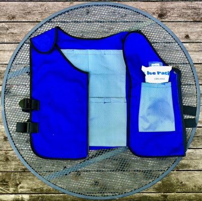 Image showing  Arctic Cooling Ice Vest with Self-Fill Reusable Ice Packs