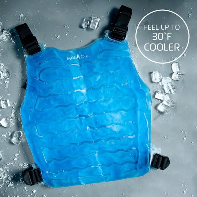 Image showing 2 th AlphaCool Original Cooling Ice Vest