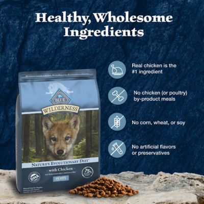 Image showing 5 th Blue Buffalo Wilderness Puppy High-Protein Natural Chicken Recipe Dry Dog Food