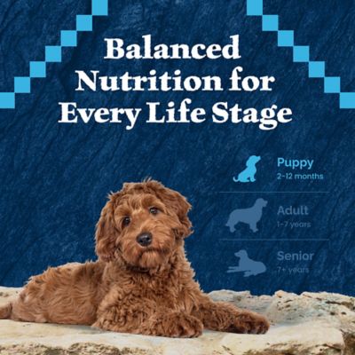 Image showing 7 th Blue Buffalo Wilderness Puppy High-Protein Natural Chicken Recipe Dry Dog Food