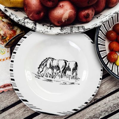 Image showing  Ranch Life Melamine Salad Plate Set, 4PC