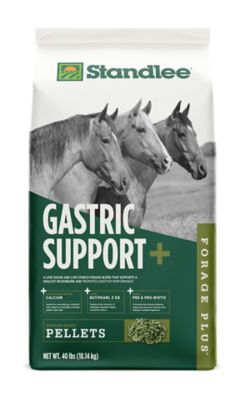 Standlee Forage Plus Gastric Support Pellets Horse Feed, 40 lb. Bag