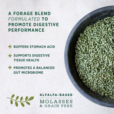 Image showing  Forage Plus Gastric Support Pellets Horse Feed, 40 lb. Bag