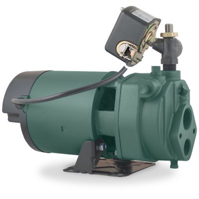 Zoeller 1 HP 115/230V Electric Cast Iron Convertible Jet Pump, 16.1 GPM