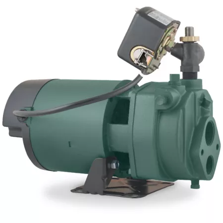 Zoeller 1 HP Cast Iron Electric Convertible Jet Pump 115/230 V 16.1 GPM Well Pumps