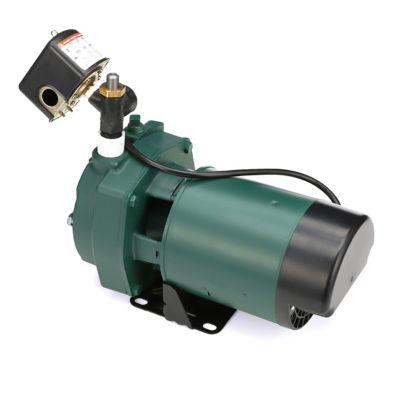 Image showing  1 HP 115/230V Electric Cast Iron Convertible Jet Pump, 16.1 GPM