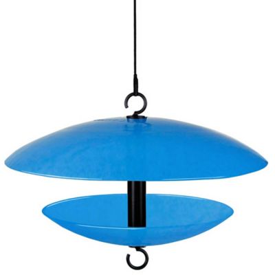 Mosaic Birds Baffle Dome Bird Feeder, 32 oz. Capacity, Blue