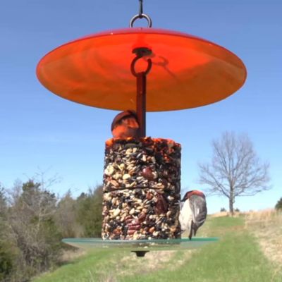 Image showing  360 Degree Petite Seed Cylinder Feeder, M392-200-68