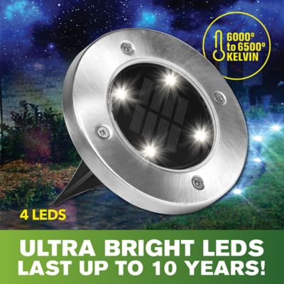 Image showing  LED Path Lights - Solar Powered & Stainless Steel (4-Pack)