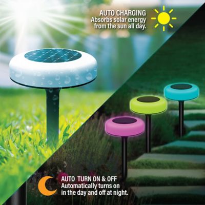 Image showing  12-Lumen Solar-Powered Color Changing Disk Lights, 4-Pack