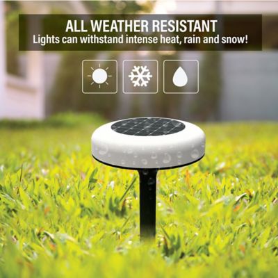 Image showing  12-Lumen Solar-Powered Color Changing Disk Lights, 4-Pack