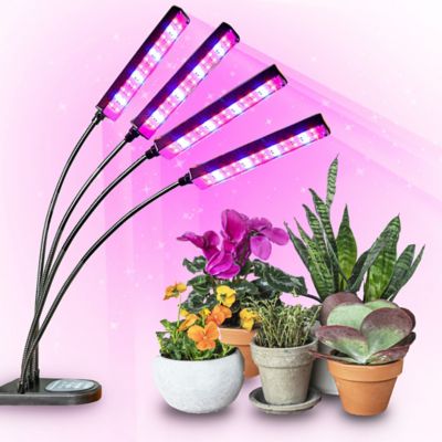 Image showing  9 Watt Equivalent 220-Lumen Bionic Grow 4-Head Full Spectrum UV Indoor Plant Light, 3,700K