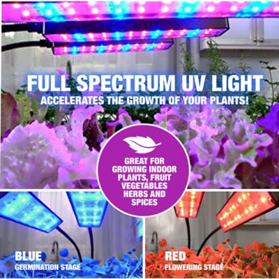 Image showing  9 Watt Equivalent 220-Lumen Bionic Grow 4-Head Full Spectrum UV Indoor Plant Light, 3,700K