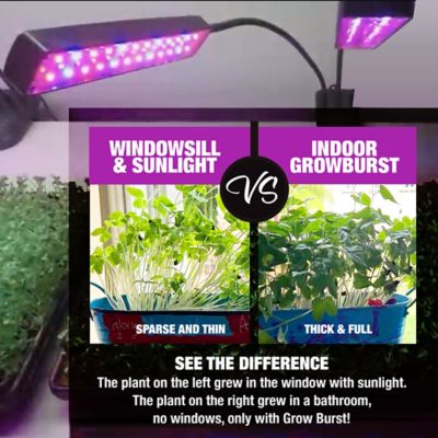 Image showing 5 th Bell & Howell 9 Watt Equivalent 220-Lumen Bionic Grow 4-Head Full Spectrum UV Indoor Plant Light, 3,700K