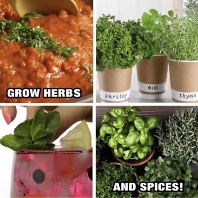 Image showing 7 th Bell & Howell 9 Watt Equivalent 220-Lumen Bionic Grow 4-Head Full Spectrum UV Indoor Plant Light, 3,700K