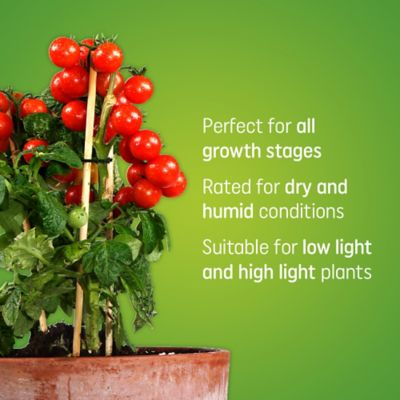Image showing  500-Lumen 9 Watt Fruit and Flowering A19 LED Grow Light, Advanced Red Light Spectrum