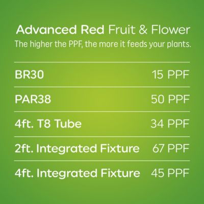 Image showing 5 th GE 500-Lumen 9 Watt Fruit and Flowering A19 LED Grow Light, Advanced Red Light Spectrum