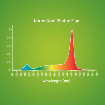 Image showing 6 th GE 500-Lumen 9 Watt Fruit and Flowering A19 LED Grow Light, Advanced Red Light Spectrum
