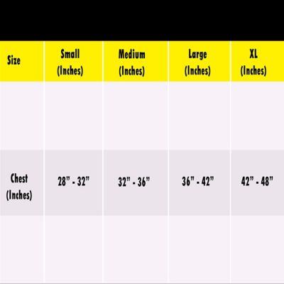 Image showing  Adjustable Posture Support Corrector Back Shoulders Brace for Sitting, People on the Go, Or Office Workers, Medium