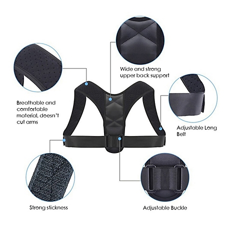 Extreme Fit Adjustable Posture Support Corrector Back Shoulders Brace for  Sitting, People on the Go, Or Office Workers, Large at Tractor Supply Co.