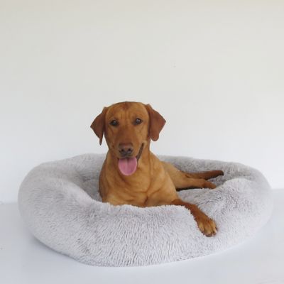Palace Deluxe Calming Dog Bed for CRB Dog Palace