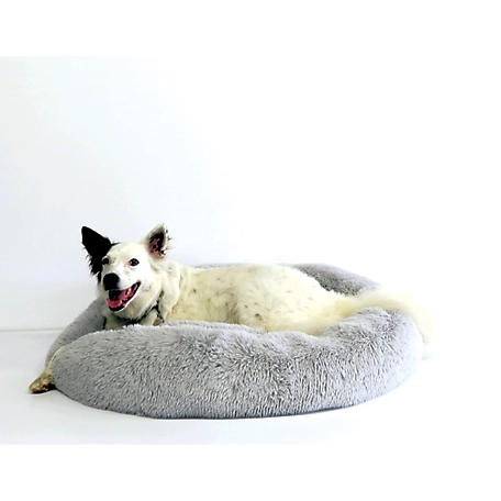 Palace Deluxe Calming Dog Bed, Medium/Large