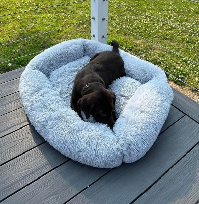 Image showing  Deluxe Calming Dog Bed, Medium/Large