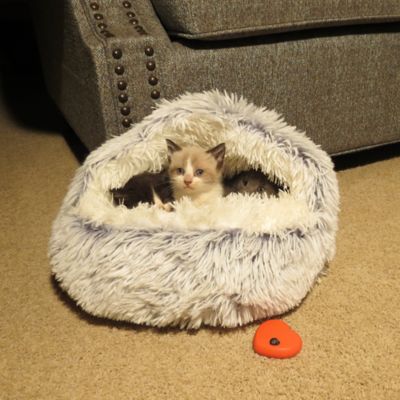 Image showing  Nursery, PKN-01