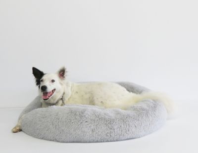 Image showing  Premium Insulated Outdoor Plastic Dog House with Calming Bed