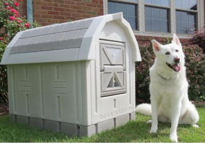 Image showing 8 th Dog Palace Premium Insulated Outdoor Plastic Dog House with Calming Bed