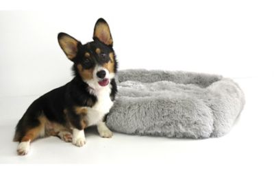 Image showing  Hunter Premium Insulated Indoor Plastic Dog House with Calming Bed