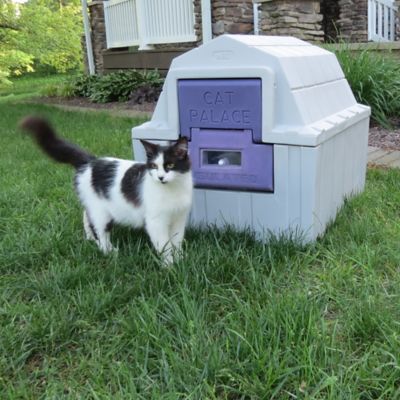 Image showing 6 th Palace Outdoor Polypropylene Cat Palace