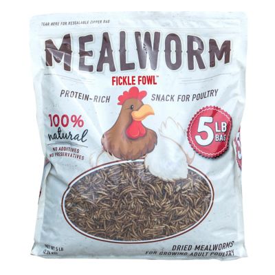 Flock Fest Fickle Fowl Dried Mealworms Poultry Treats, 5 lb.
