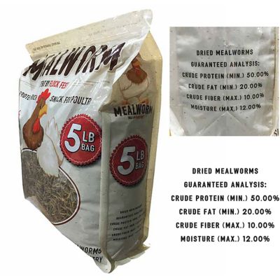 Image showing  Fickle Fowl Dried Mealworms Poultry Treats, 5 lb.