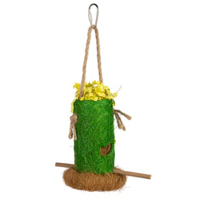 Prevue Pet Products Forage & Engage Tropical Teasers Shreddable Shack Bird Toy 62408