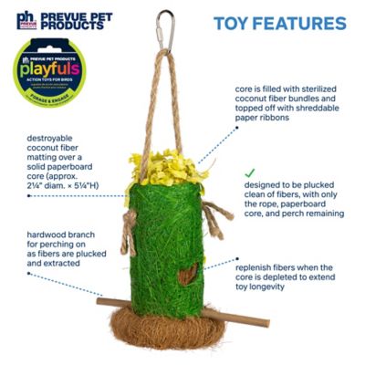 Image showing  Forage and Engage Tropical Teasers Shreddable Shack Bird Toy