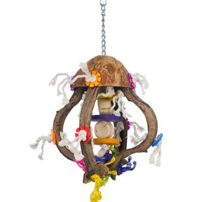 Prevue Pet Products Forage & Engage Jellyfish Bird Toy 62671