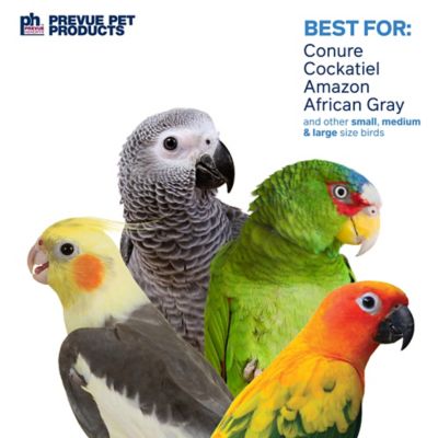 Image showing 3 th Prevue Pet Products Physical and Mental Bodacious Bites Ferris Wheel Bird Toy