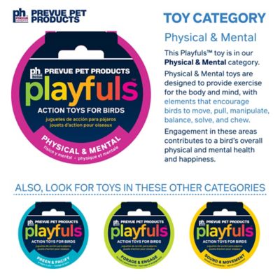Image showing 4 th Prevue Pet Products Physical and Mental Bodacious Bites Ferris Wheel Bird Toy