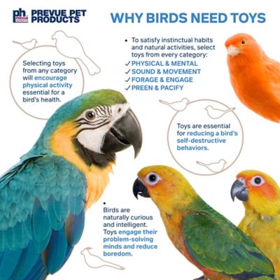 Image showing 5 th Prevue Pet Products Physical and Mental Bodacious Bites Ferris Wheel Bird Toy