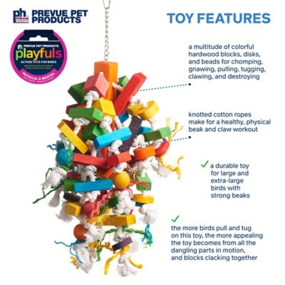 Image showing  Physical and Mental Bodacious Bites Wizard Bird Toy