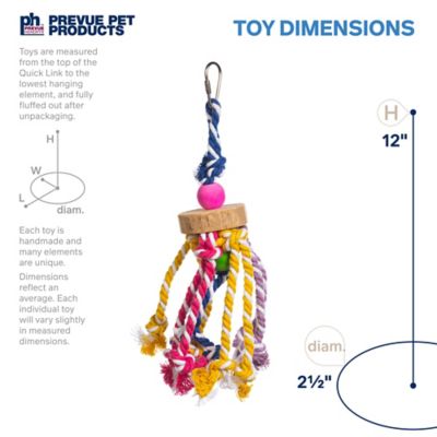 Image showing  Physical and Mental Court Jester Bird Toy