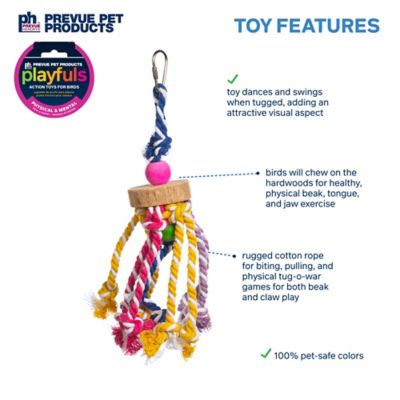 Image showing  Physical and Mental Court Jester Bird Toy