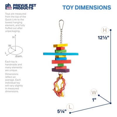 Image showing 1 th Prevue Pet Products Physical and Mental Bodacious Bites Sassy Bird Toy