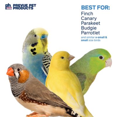 Image showing 3 th Prevue Pet Products Physical and Mental Bodacious Bites Sassy Bird Toy
