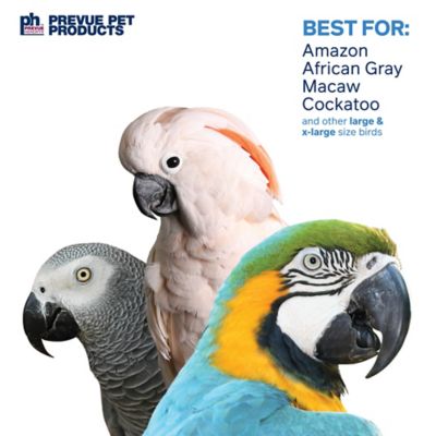 Image showing  Preen and Pacify Bodacious Bites Fluff N Stuff Bird Toy