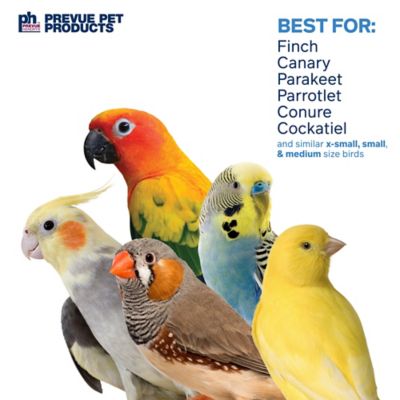 Image showing  Preen and Pacify Tropical Teasers Firecracker Bird Toy